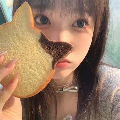 入侵者